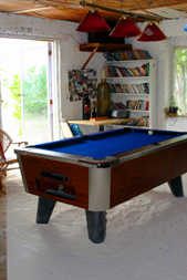 Kaye's Bar pool table