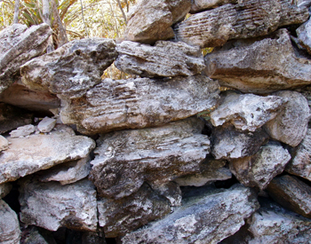 Rum Cay Rock Walls